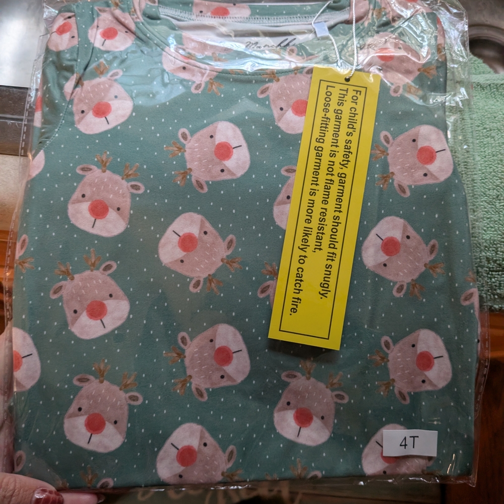 CC Boutique Kids Pajama Set - Green with Pink Reindeer